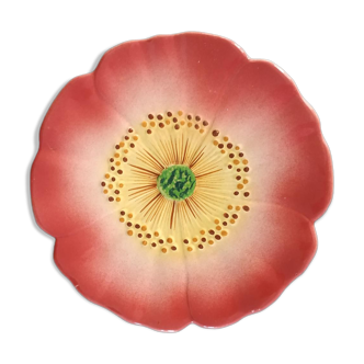 Plate collection flower anemone