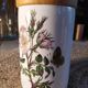 Ceramic jars, floral motif, herbalism, botanics