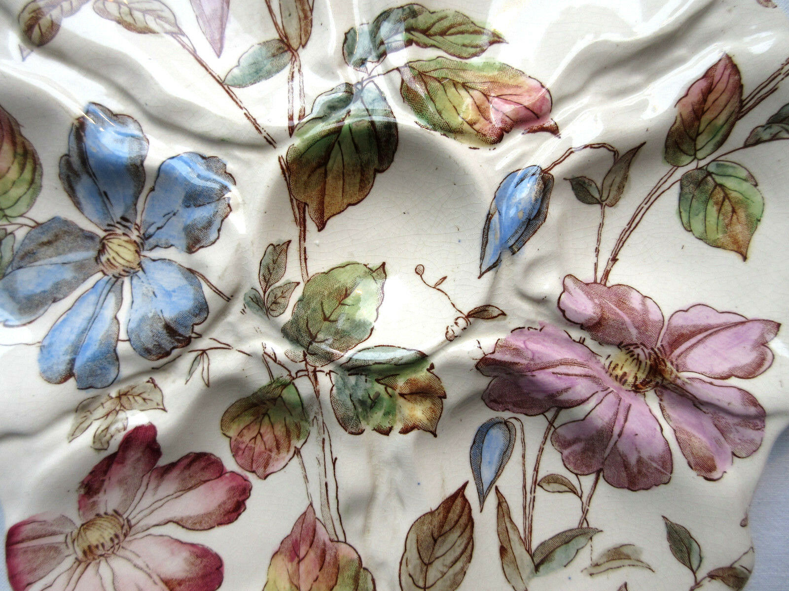 Oyster plate : william alsager adderley (w.a.a.) décor floribel