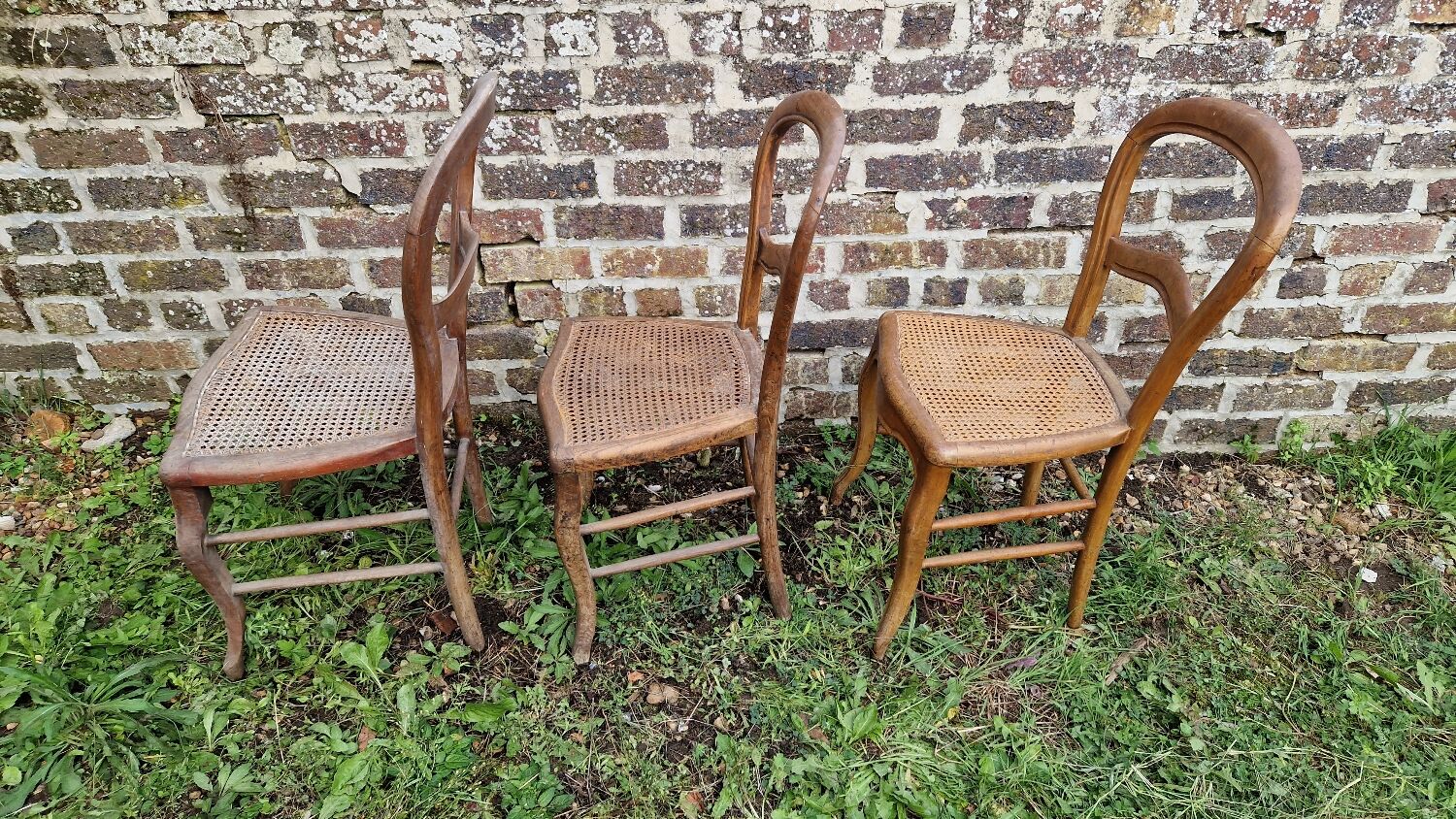 Set of 3 cane chairs