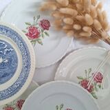 Vintage blue pink dinner plates