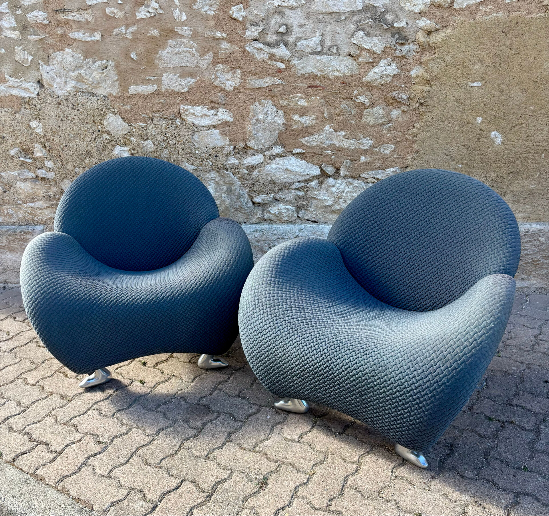 Pair of design armchairs Papageno Jan Armgardt Leolux