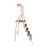 Industrial old sturdy wooden ladder