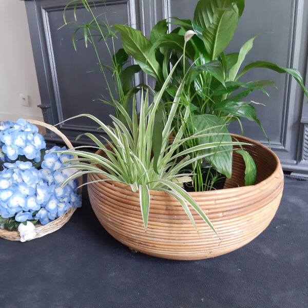 Hide pots or plant holders