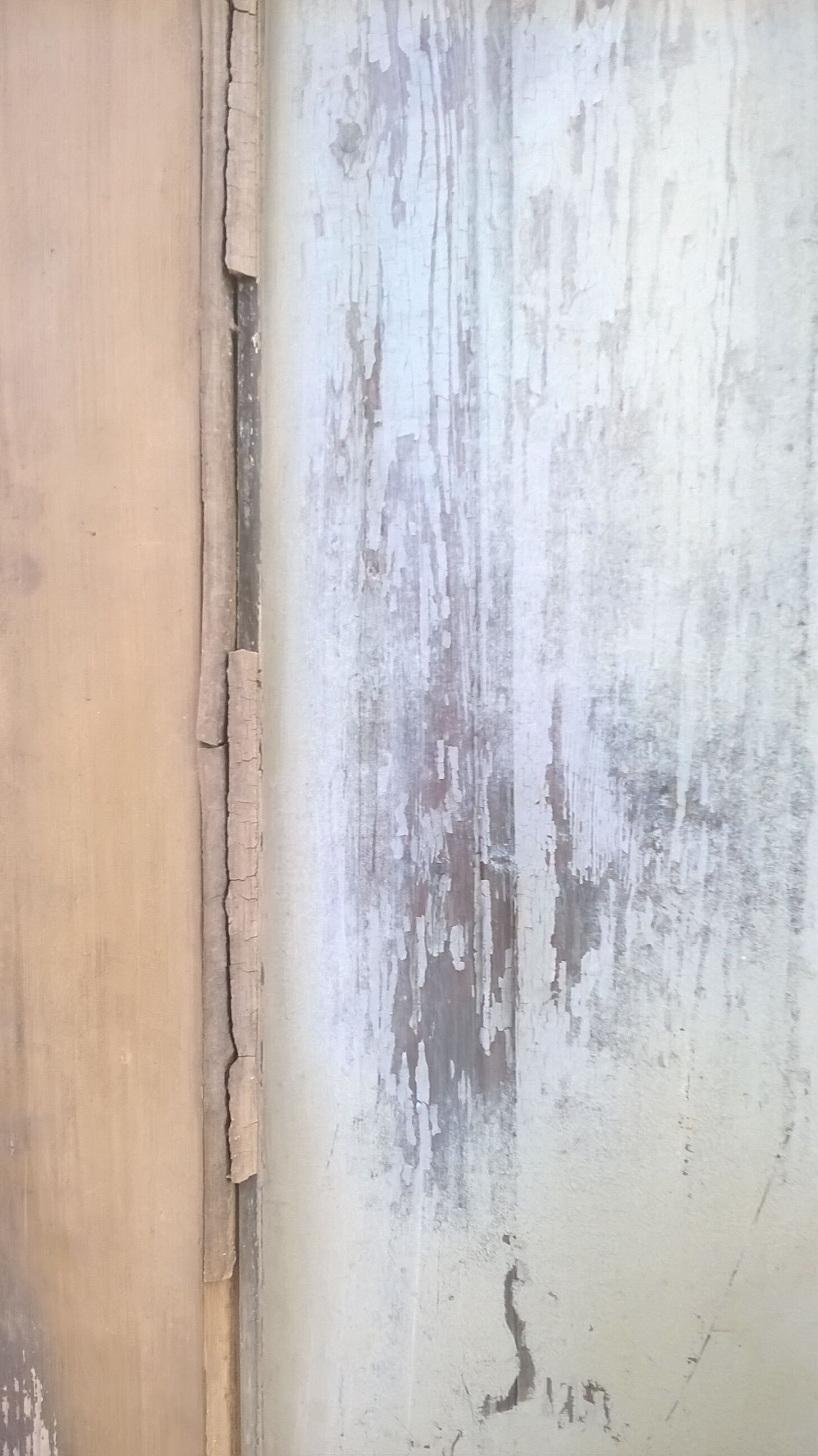 Old glass interior door mint