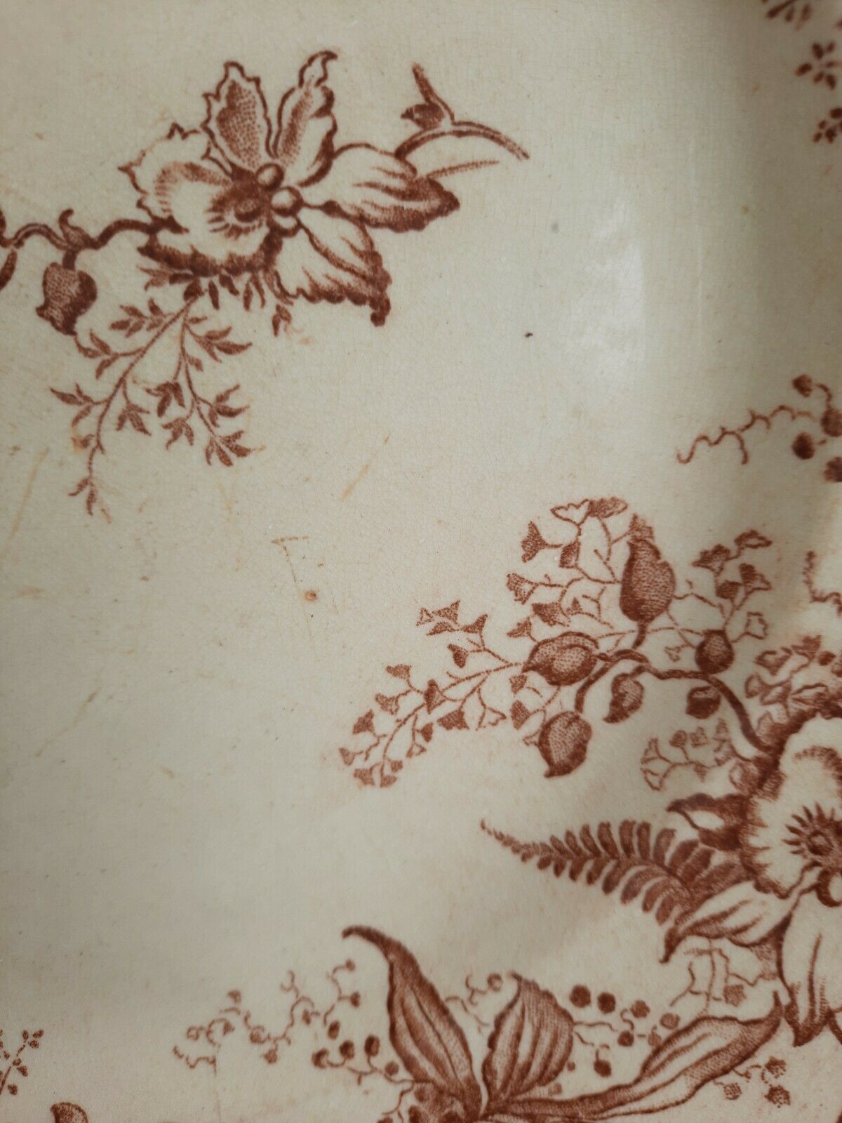 Salins earthenware plates, fer terre