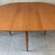 Vintage scandinavian table from the 60s extendable with butterfly extension