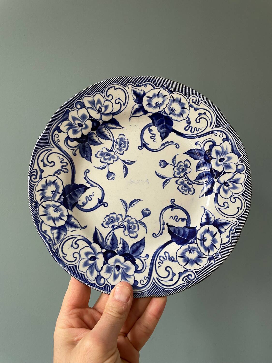 Series of 9 Creil Montereau plates, Flora model