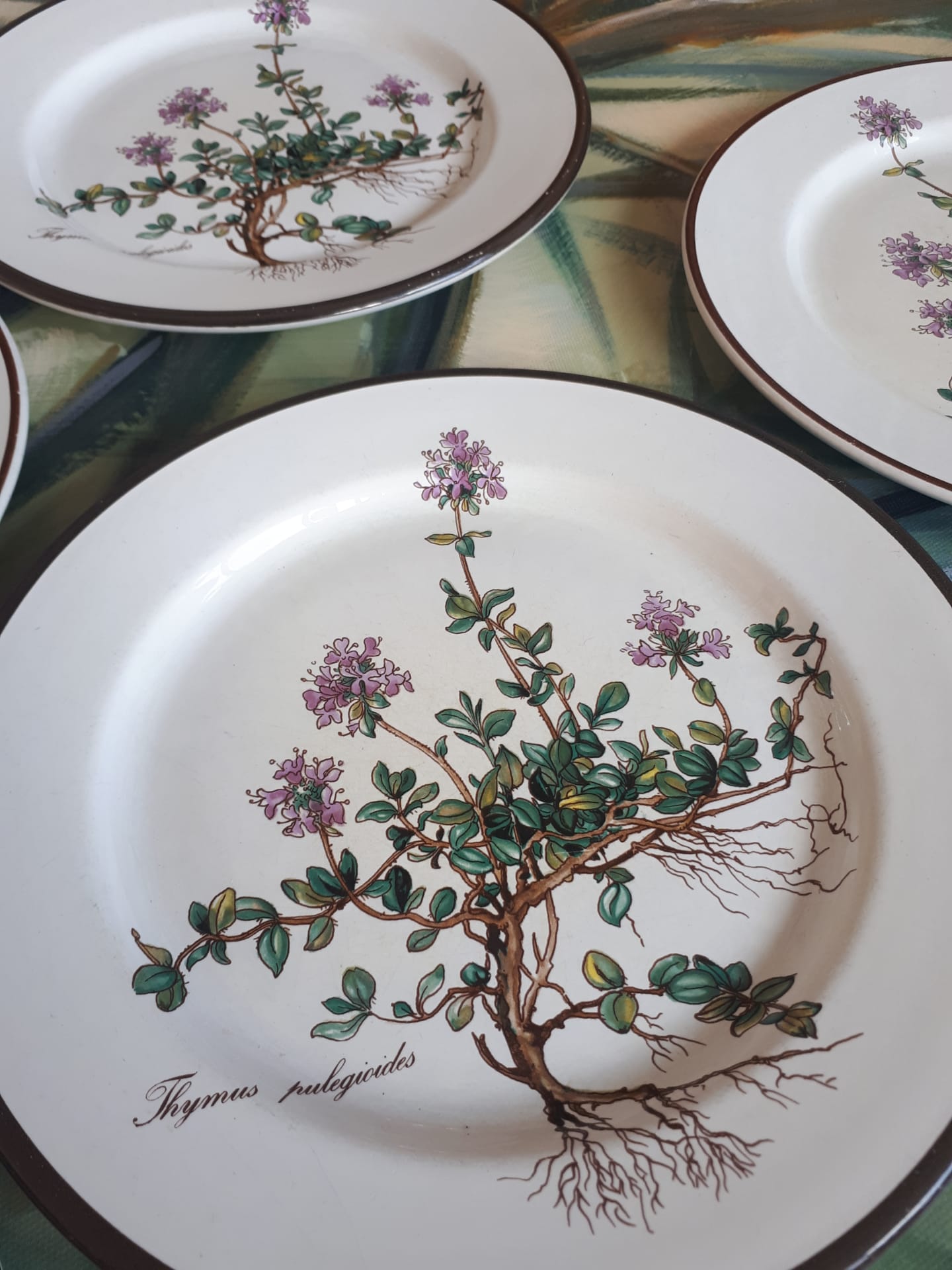 Lot of 5 dessert plates "Thymus" from the Botanica de Boch service