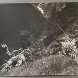 Bernard Darot 20th century silver photo On the mountainside