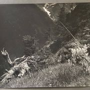 Photo argentique Bernard Darot XXe A flanc de montagne