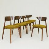 Set of 6 Modern Beech Wood Dining Chair, Yellow Bouclè, Dark Wood