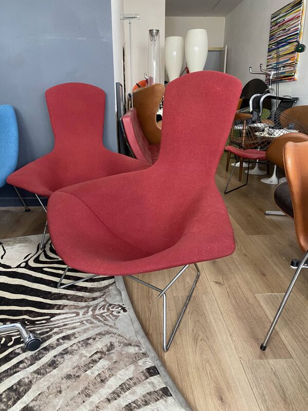 Fauteuil Bertoia Bird édition Knoll 1970