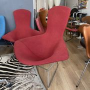 Fauteuil Bertoia Bird édition Knoll 1970