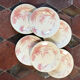 6 dessert plates views of orient rose