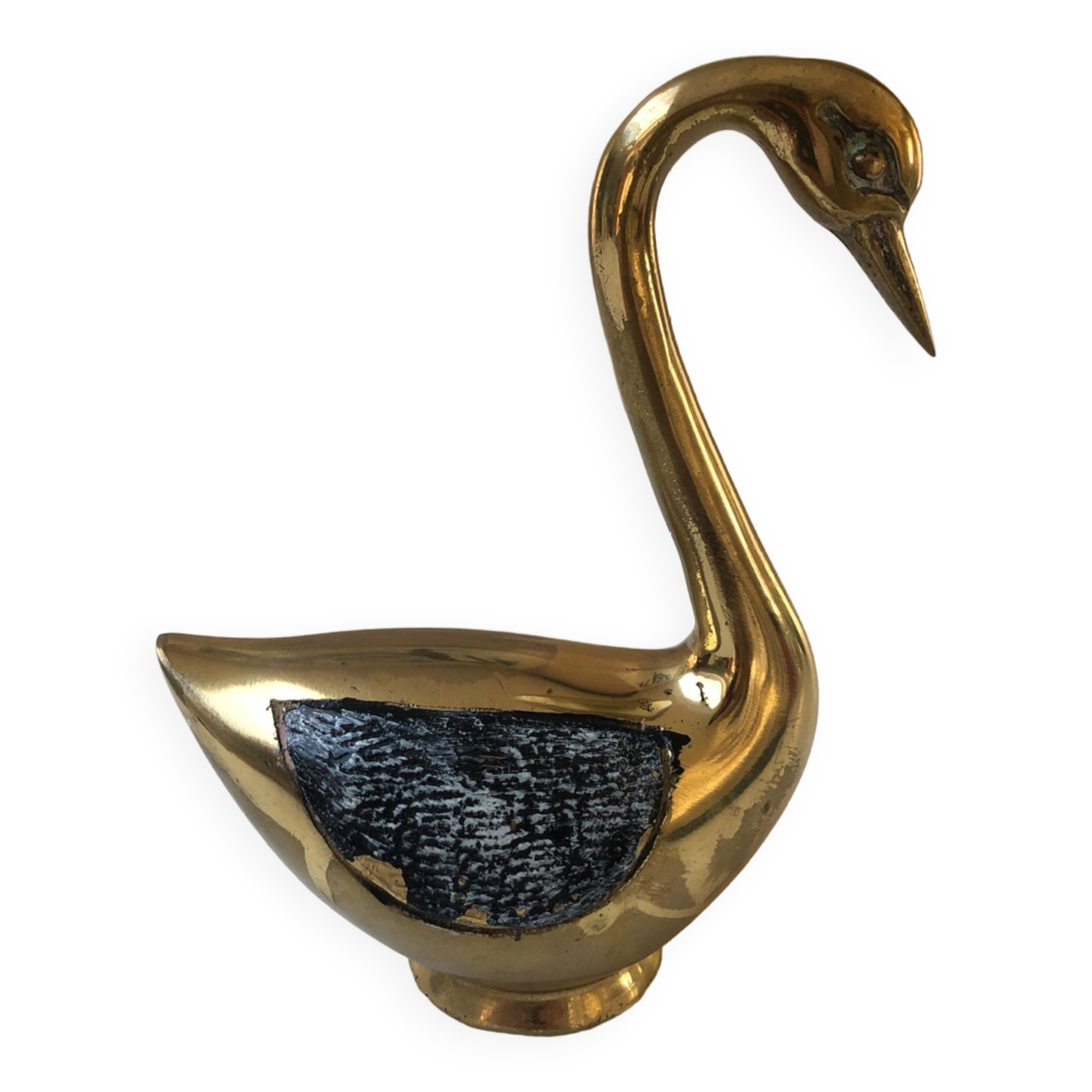 Swan