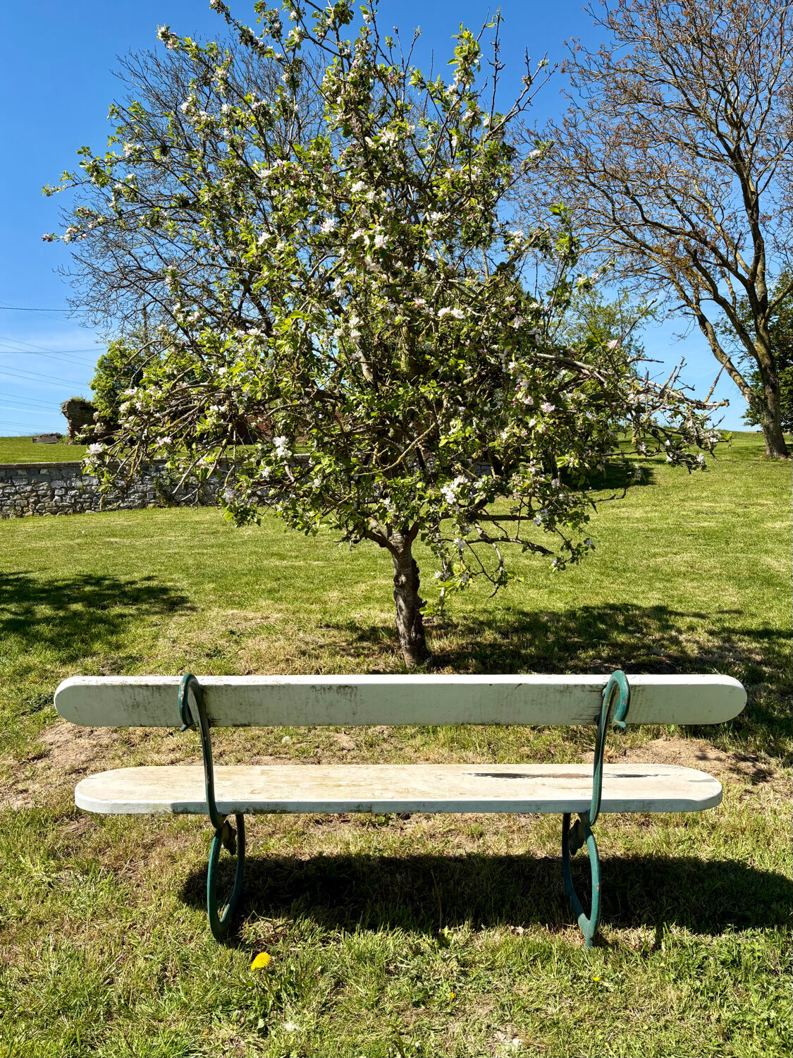 Banc de jardin ancien en bois et métal – esprit Art Nouveau, travail d