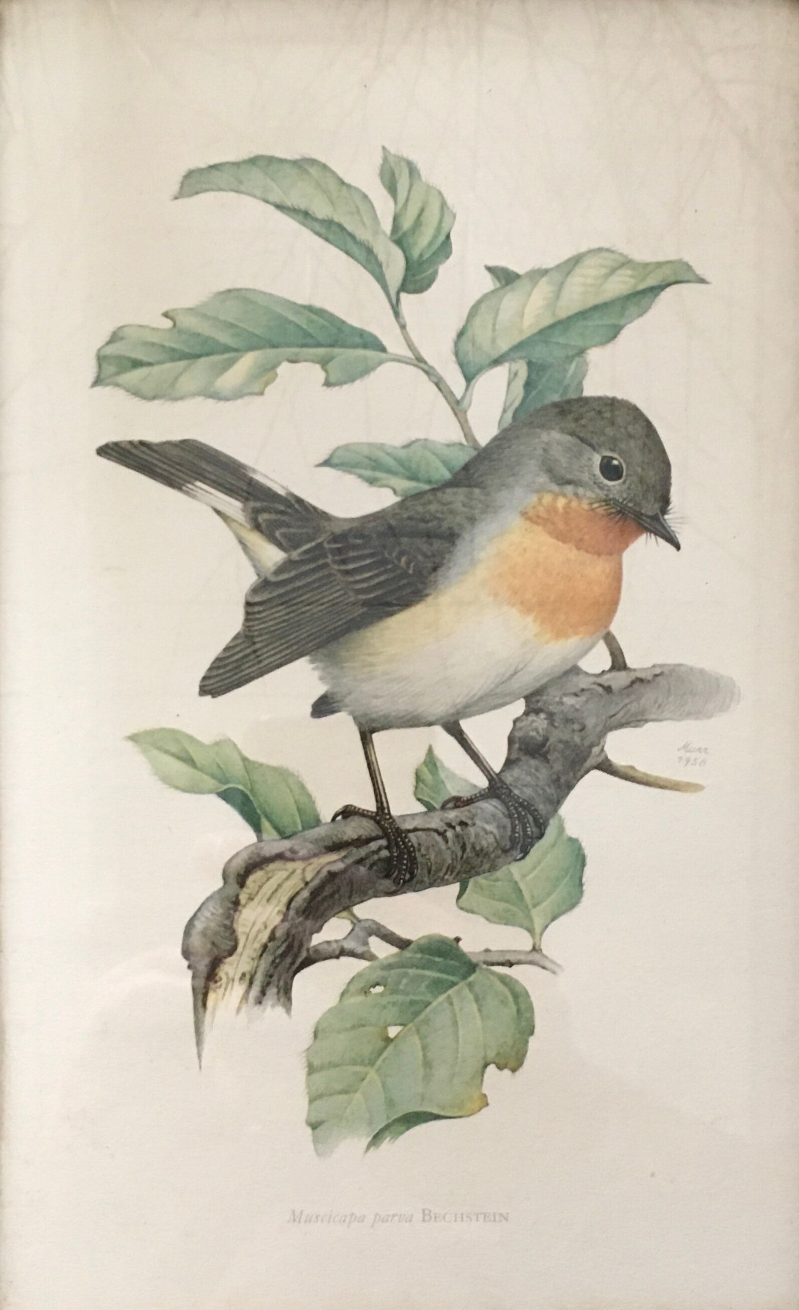 Illustration brass frame box