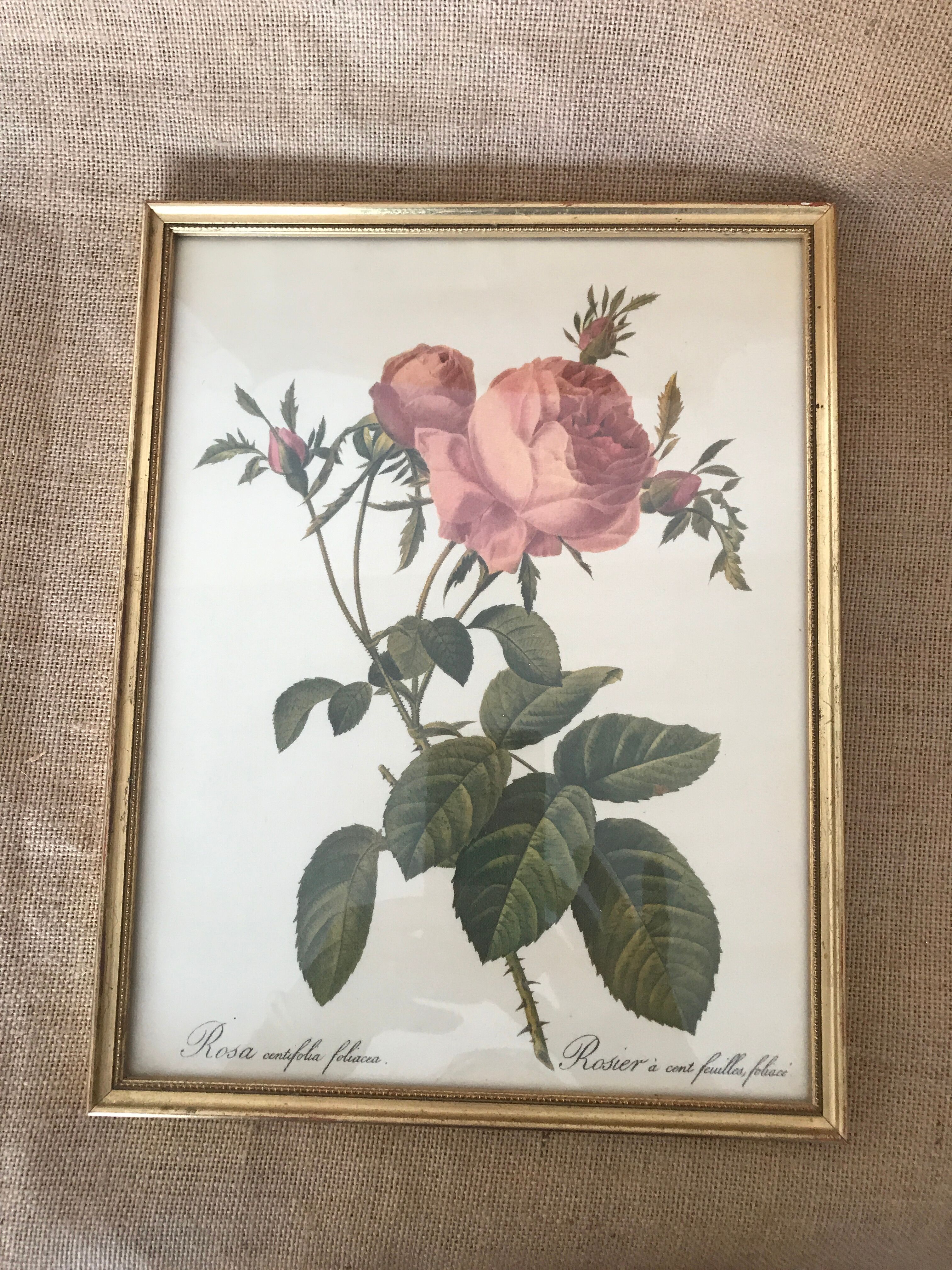 Framed botanical plank