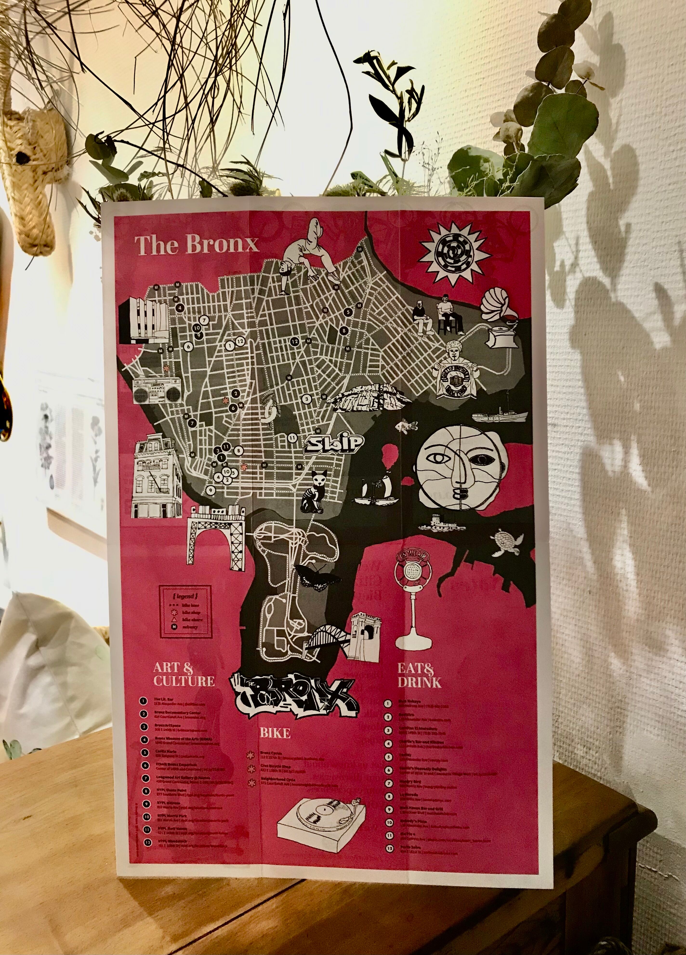 Illustration Map's Bronx New York