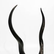 Sculpture en laiton et marbre de la tête d'antilope koudou des années 1970