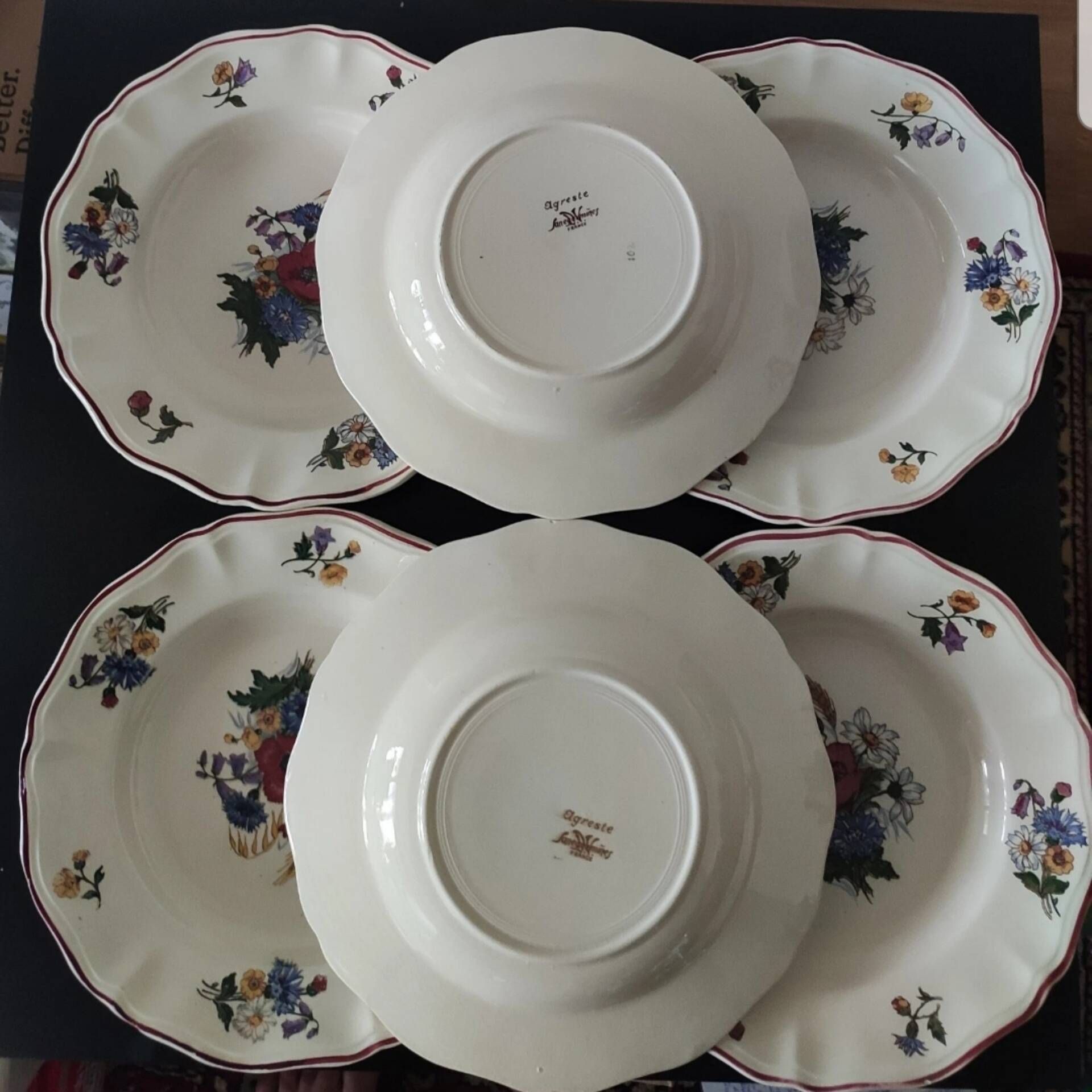 Set of 6 Sarreguemines Agreste plates