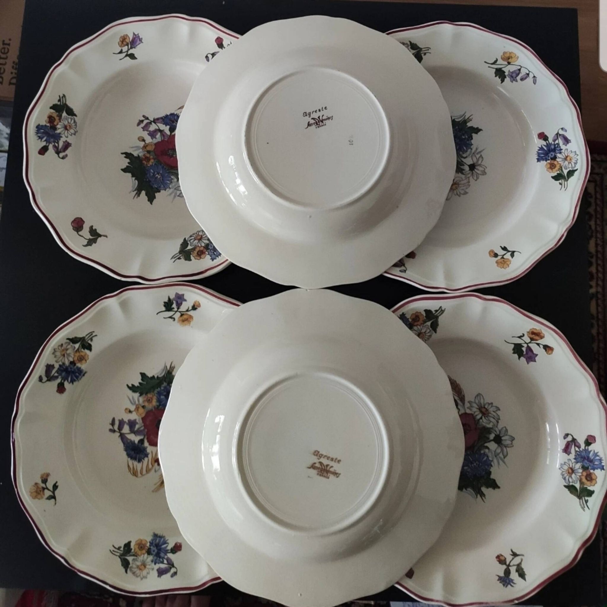 Lot de 6 assiettes Sarreggumine Agreste
