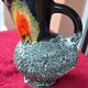 Vallauris moonstone pot from the 1950s with signature
