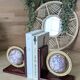 Pair of globe bookends (D-0043)