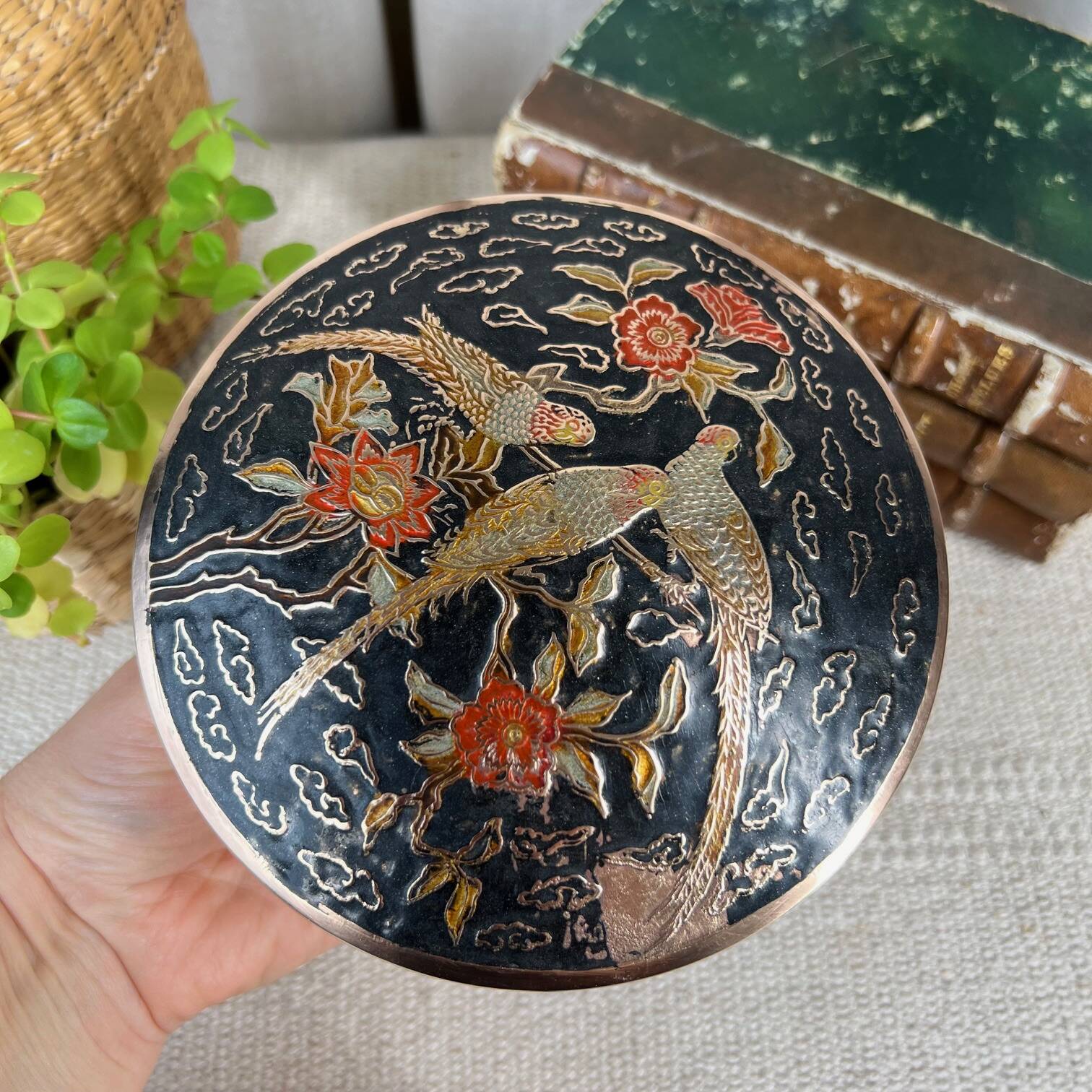 Parrots brass box