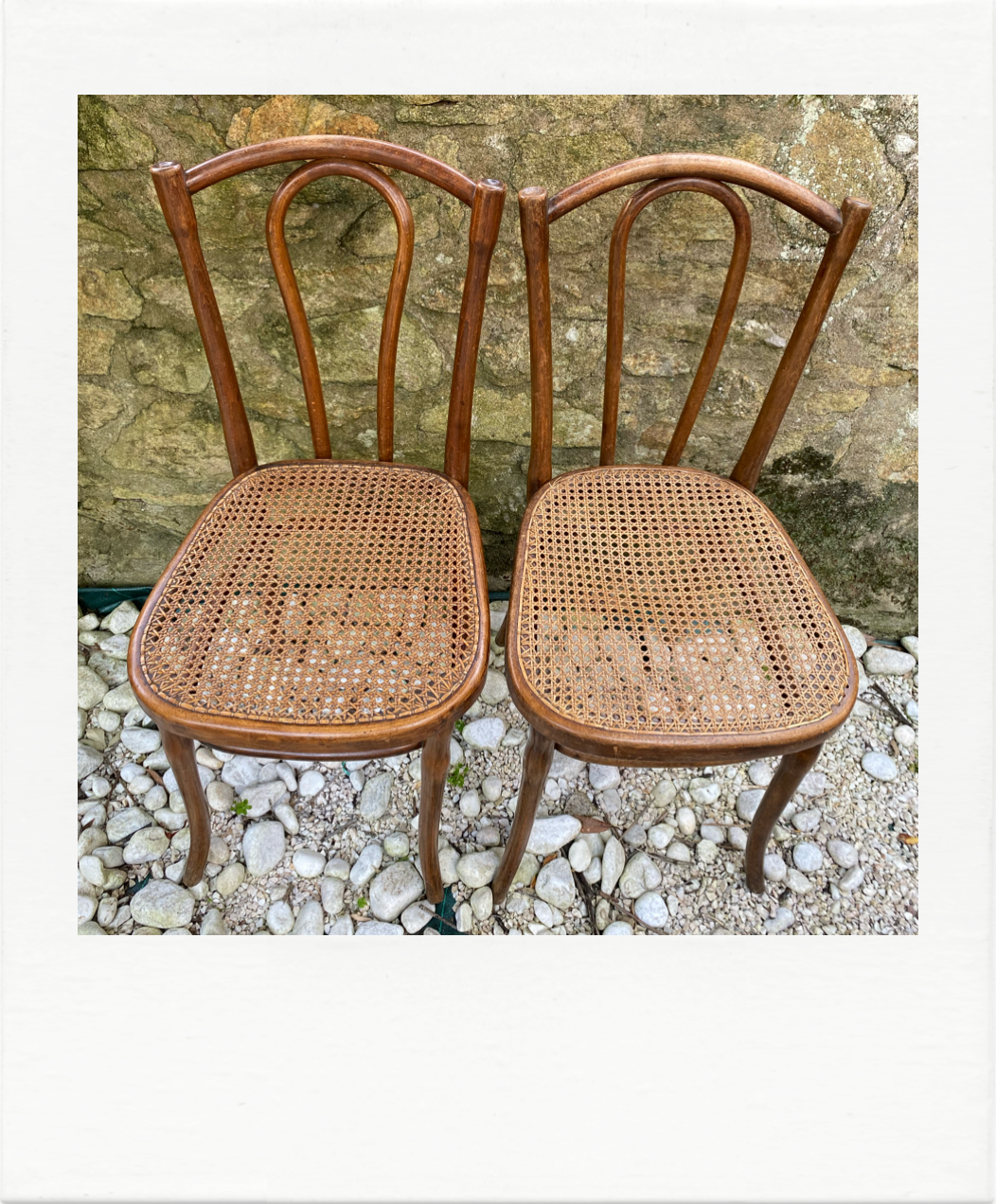 Duo of chairs Thonet bistro