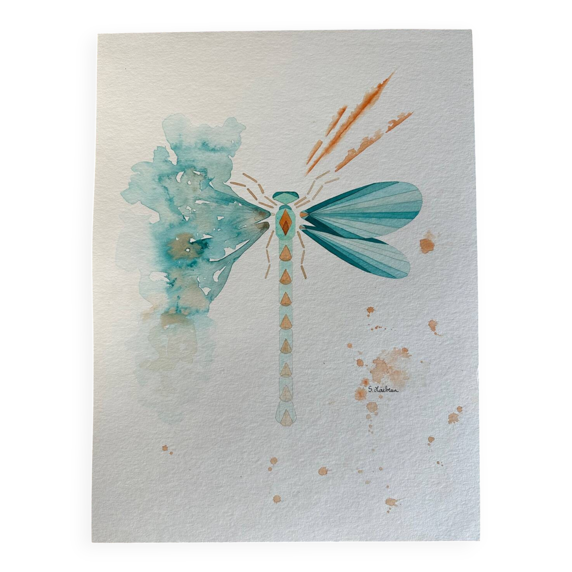 Blue dragonfly poster 30x40