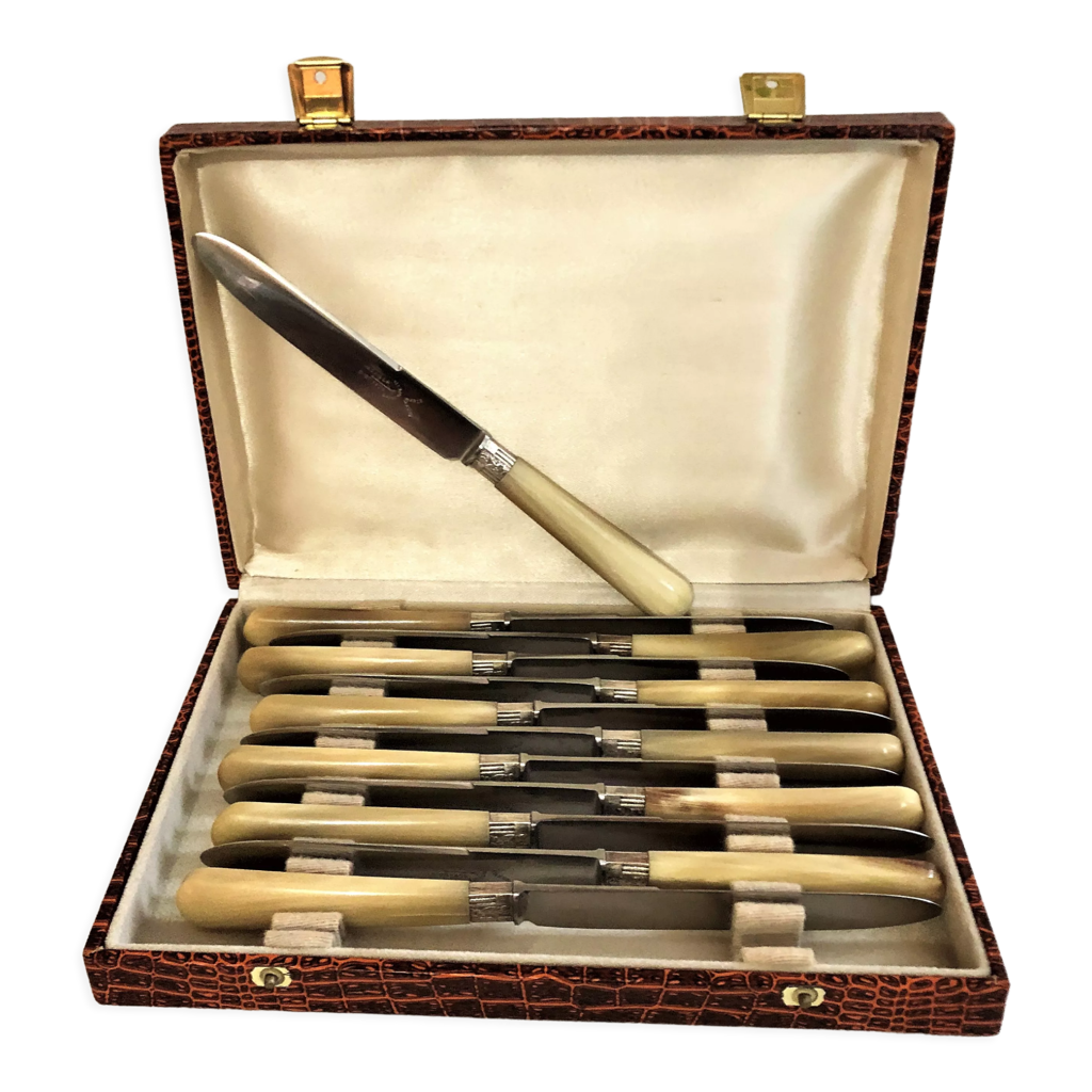 COFFRET DE 12 anciens couteaux de table INOX B.COTE vintage ménagère EUR 86,90 - IT