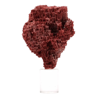 Red coral on resin base, 1970s