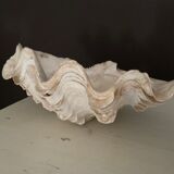 Trinket bowl shell