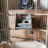 Cage à oiseaux