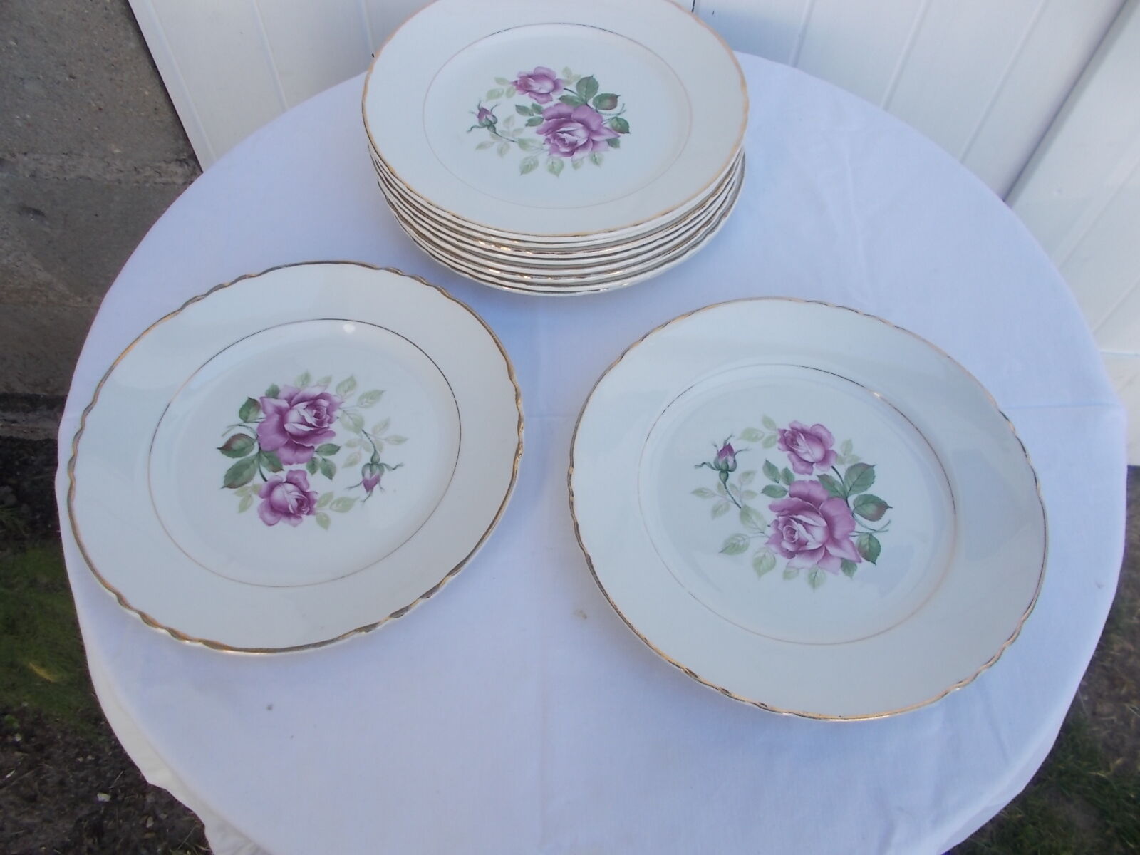 Lot 11 flat plates moulin des loups