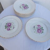 Lot 11 flat plates moulin des loups