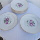 Lot 11 assiettes plates moulin des loups