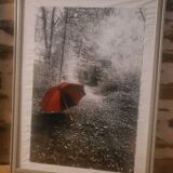 Photo my umbrella