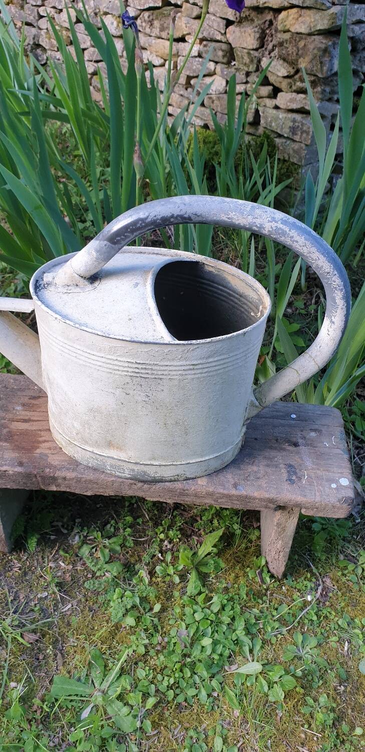 White zinc watering can