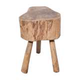 Old log