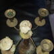 Candlestick