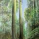 Kaki Brunet (1926-2012) "Spring in the Woods" oil on canvas