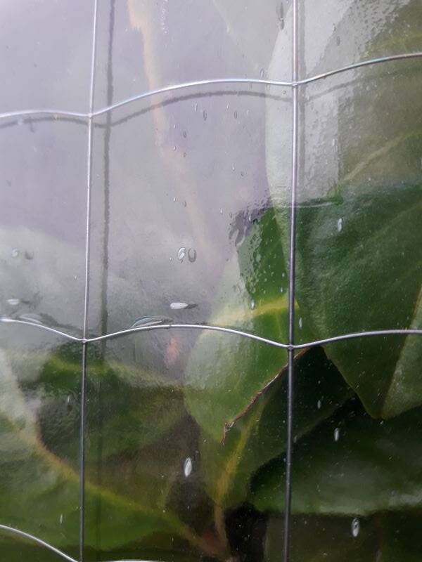 Window L107xH174 industrial curved metal glass roof frame reinforced glass