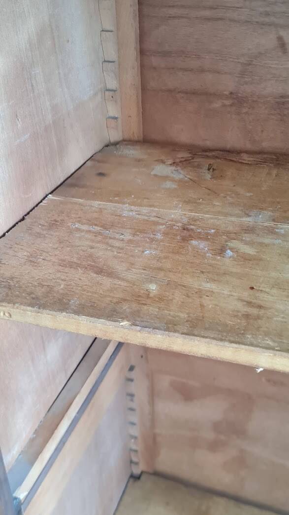 Parisian wardrobe - showcase spirit