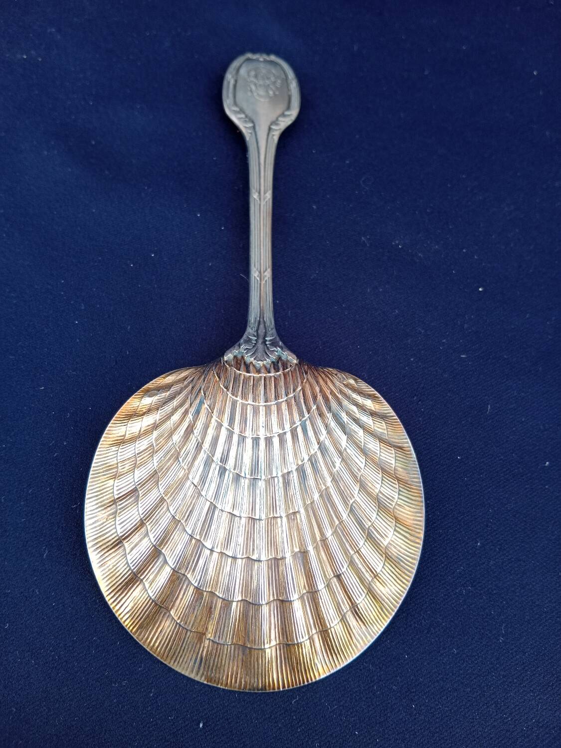 Strawberry shovel XIX.