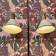 Paire d'appliques modulables design 1960.
