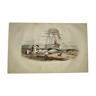 Planche zoologique originale de 1839 " le requin "