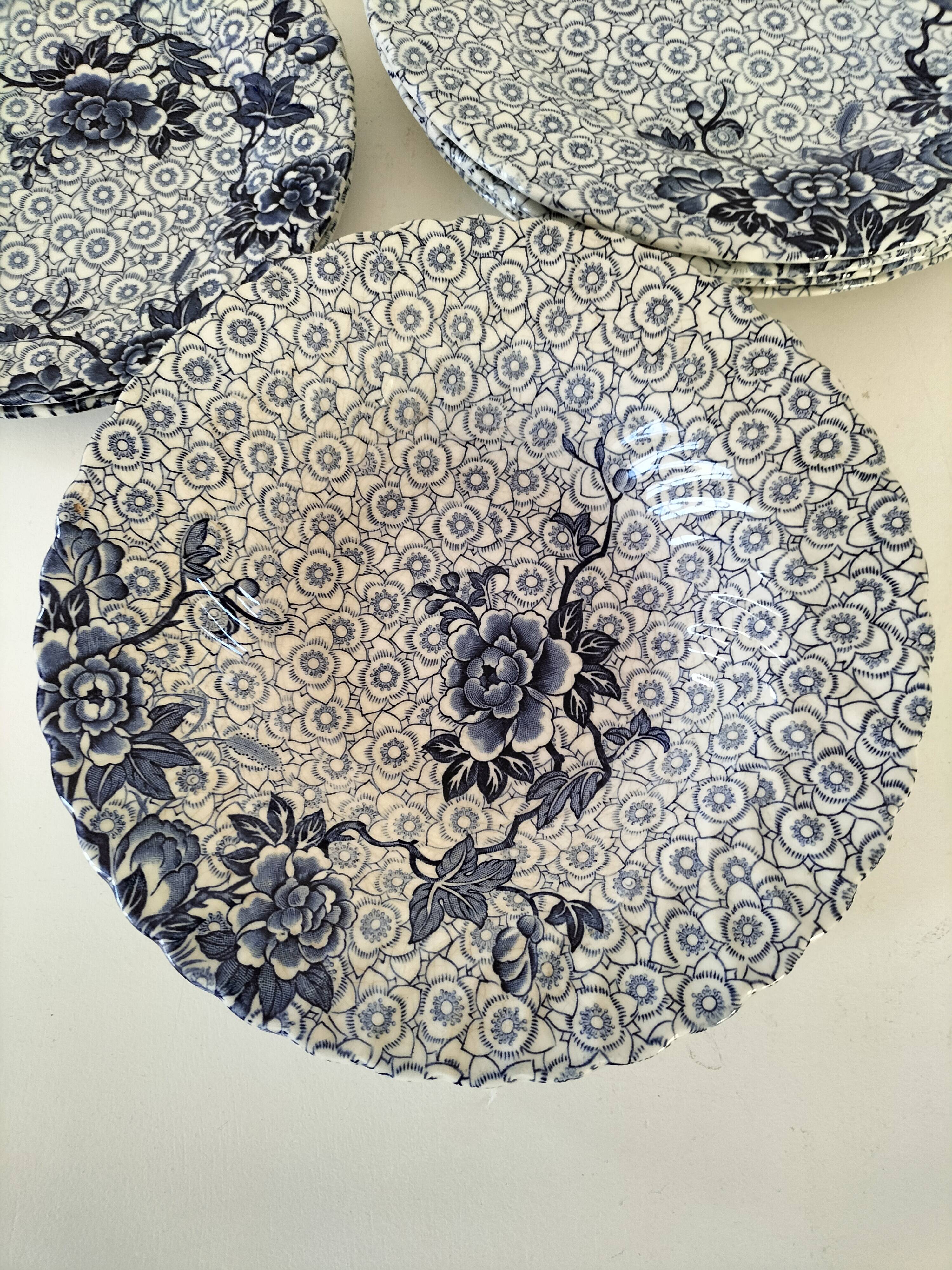 9 Johnson Brothers plates in the Lotus pattern.